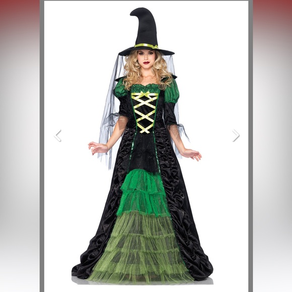 Halloween Costumes Dresses & Skirts - Woman’s Storybook Witch Costume